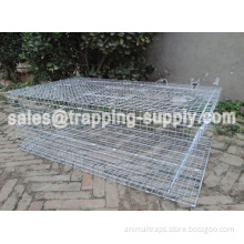 Door Galvanized Pigeon Cage Trap
